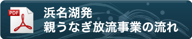 浜名湖発親うなぎの放流事業の流れ