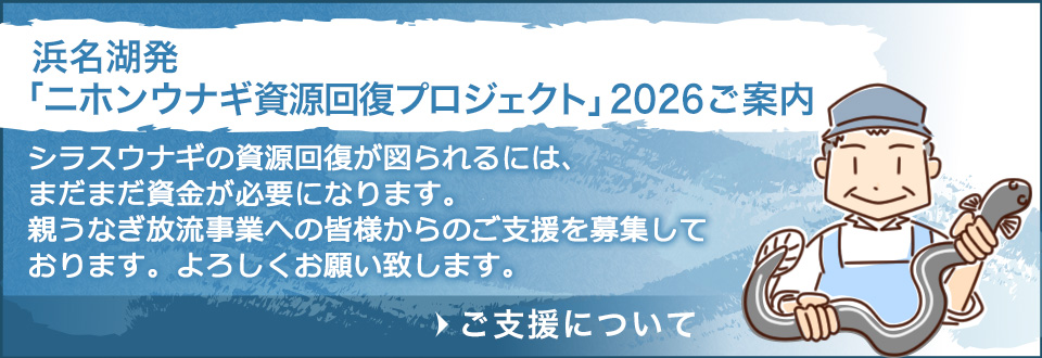 【浜名湖発「ニホンウナギ資源回復プロジェクト」ご案内】シラスウナギの資源回復が図られるには、まだまだ資金が必要になります。親うなぎ放流事業への皆様からのご支援を募集しております。よろしくお願いいたします。